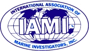 IAMI